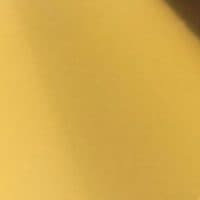 Tolomeo Micro Swatch Gold